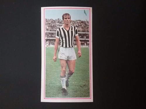 Album panini calciatori - album,