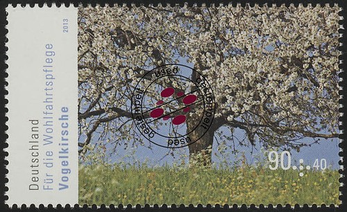 2981 wohlfahrt alberi ciliegio - wohlfahrt,