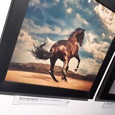 Bruce Springsteen LP Art - 12"
