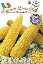 25 Semi / Seeds MAIS da Pop
