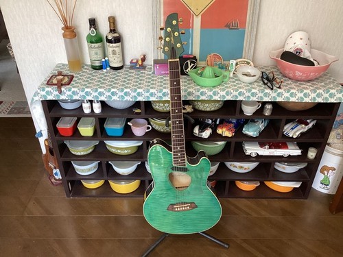 Chitarra elettrica acustica