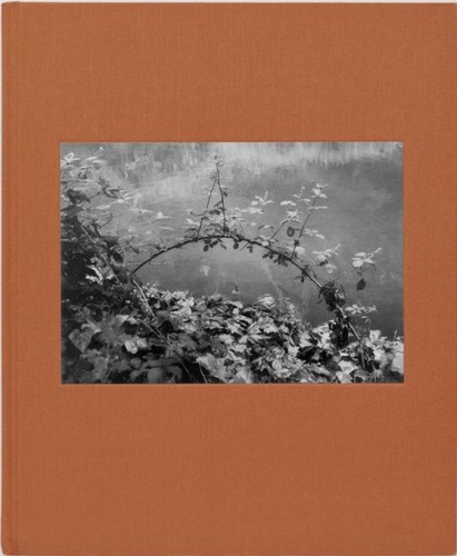 Doldrums kanagaki brian - doldrums,