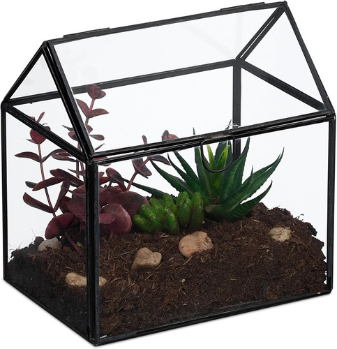 Terrario piante mini serra - mini, in