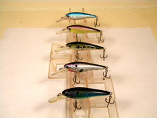 5 esche per esche a sonaglio