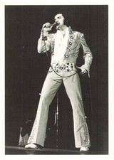 498103) Scheda Musicista -