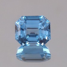 Acquamarina brasiliana