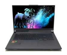 ASUS ROG Strix G17 G713P 17,3" QHD 240Hz Ryzen 9 7945HX 16GB 1TB RTX 4060 G-Sync