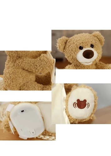 Peekaboo bear hide and - seek,