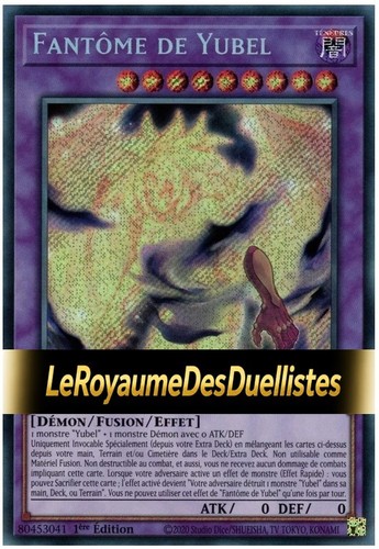 Deck yubel fr - yu-gi-oh!, •