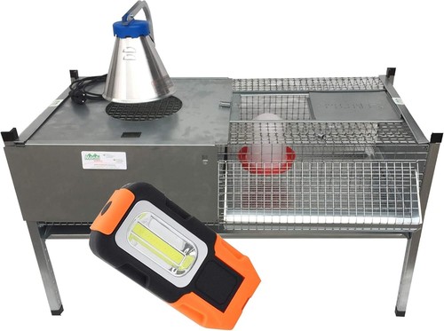 Gabbia riscaldata allevatrice - ,