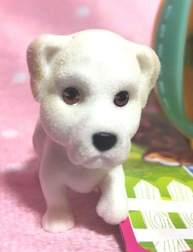 Puppy pocket simon white - puppy, my