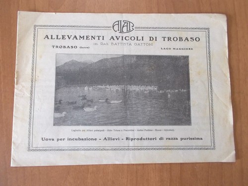 Brochure allevamenti avicoli - brochure,