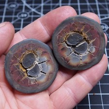 Fossile Settario Marocco 50 milioni di anni Africa Geode Septaria Dino 06