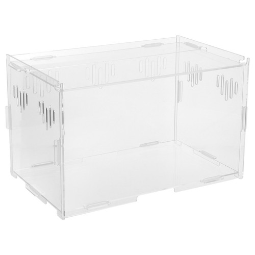 1pz utile acrilico rettili - rettili, box