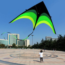 Large Delta Kite for Kids &
