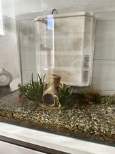 Acquario 50 Litri Zolux