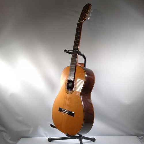 Takamine corda nylon - n.30,