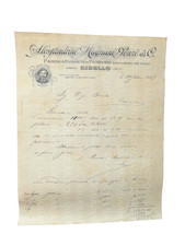 DOCUMENTO 1917 CONSERVA