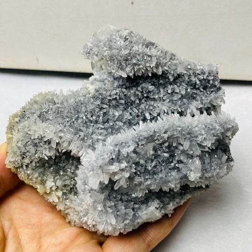 Top 7lb natural - natural, white