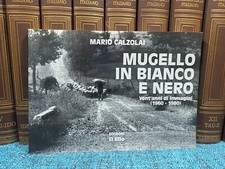 Mario calzolai mugello - mario, in