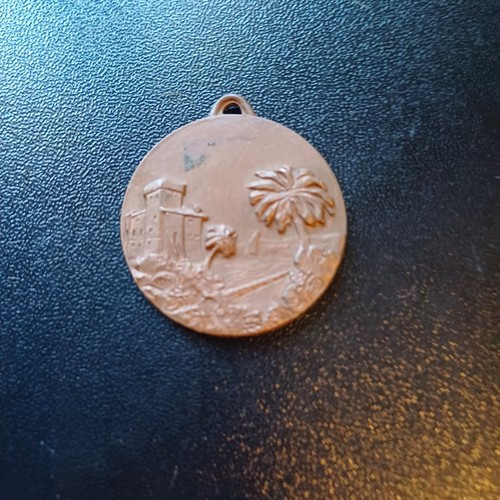 Medaglia militare raduno - medaglia,