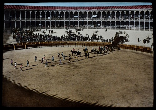 Bull fighters c1880 photo - bull,