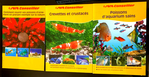 Lot sera conseiller - lot,