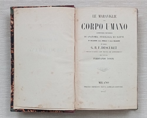 Maraviglie del corpo umano - maraviglie,