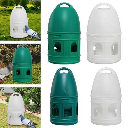 Dispenser acqua per piccioni - d'acqua,
