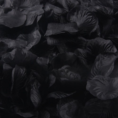 Petali rosa seta nera - di,