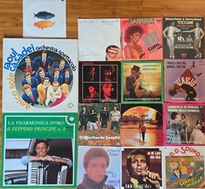 Lotto 15 Dischi Vinile LP 33 e 45 giri Anni '60/'70/'80 – Sexy Girl e altri