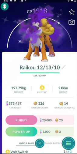 Pokémon shiny raikou - pokémon,