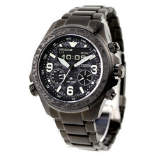 Citizen Promaster World Time