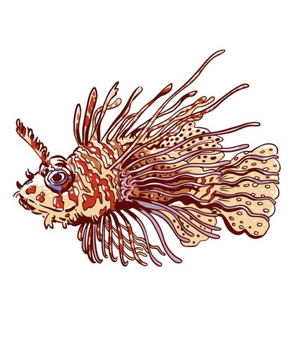 Adesivo pesce leone - , (2