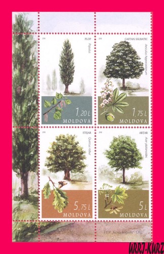 Moldavia 2018 natura flora - natura,
