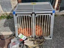 gabbia per cani auto
