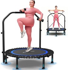 450/550lbs Folding Mini