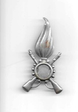 FREGIO IN METALLO SENZA FERMAGLIO REGGIMENTO FANTERIA ESERCITO ITALIANO