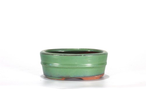 Vaso bonsai ovale cm - bonsai,