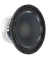 Visaton PAW- 25 8 Ohm 25 cm (10") woofer per sistema PA, cestello pressofuso 070620