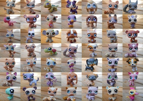 Lps littlest petshop pet shop - petshop,
