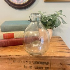 Vintage nido d'ape vetro trasparente insetti cattura mosche decorazione fattoria