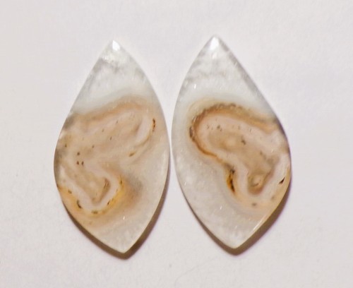 Cts orbicular montana - cts,