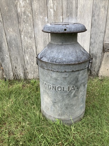 Lattina olio petrolio magnolia