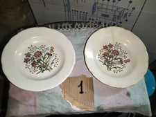 2 PIATTI VINTAGE CON FIORI  -