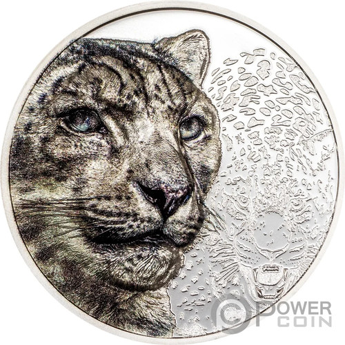 Snow leopard wild - wild, 1