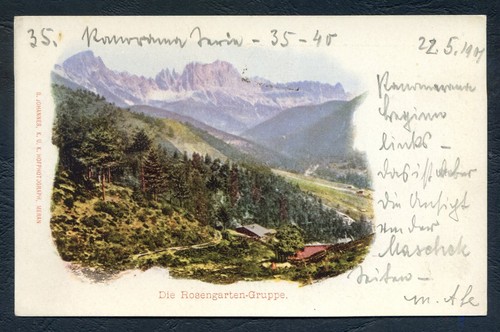 P245 cartolina - ,