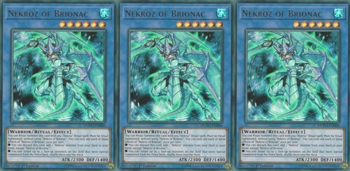 Nekroz brionac - di,