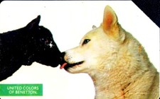 G 141 C&C 2198 SCHEDA TELEFONICA USATA MAGNETIZZATA BENETTON LUPO 2^A QUALITA'