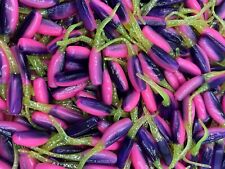 100 pezzi 2" Popsicle Stinger